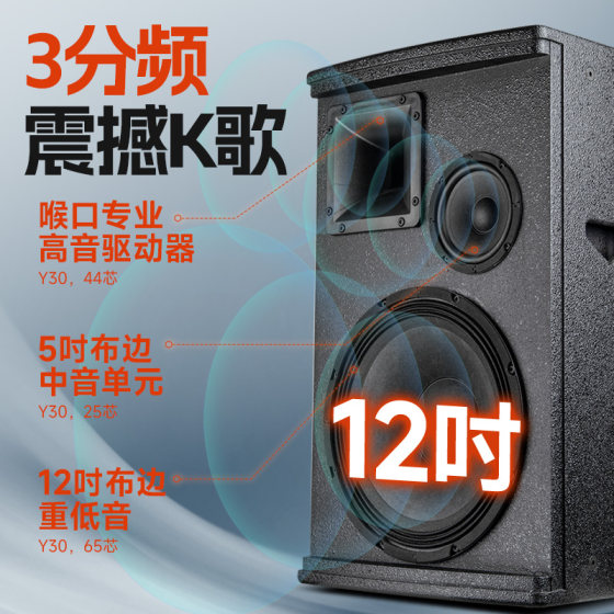 Shanshui's new KF12 complete set of professional karaoke speakers