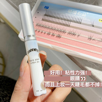 South Korea Darkness Fake Eyelash Glue Antifreeze Sectional Single Cluster Eyelash Glue Double Eyelid Glue
