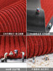 Entrance door floor mat, entrance door, indoor red carpet