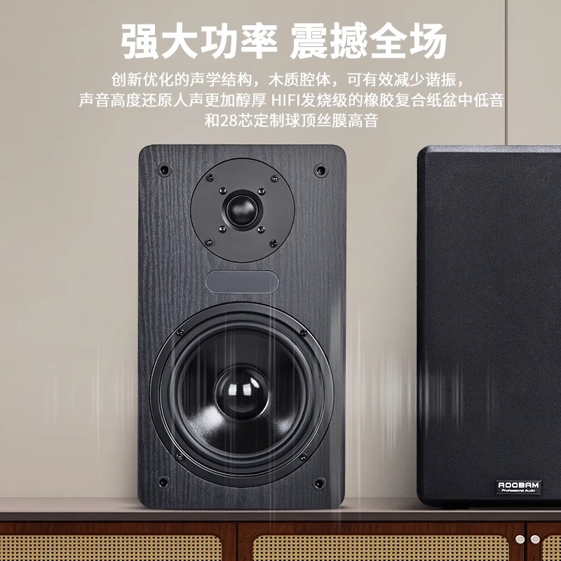 SHIYI karaoke home audio set