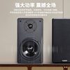 SHIYI karaoke home audio set