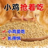 Курица корм для открытия курицы материал для рыбалки и бить гнездо питательный белковый материал