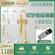 Trumpet instrument beginners descending B-tone adult children professional playing class French brand Blanche