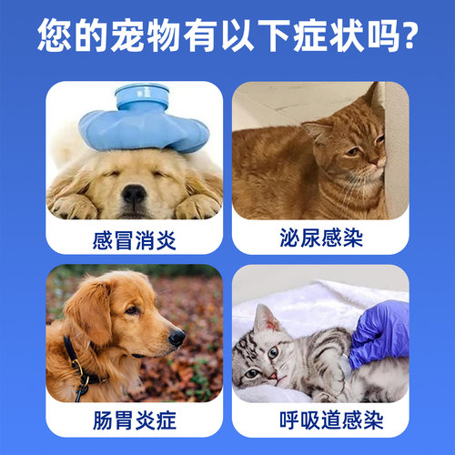 宠物狗狗猫咪猫感冒鼻支感染伤口消炎药口炎咳嗽阿莫西林片兽用鸡 - 图0