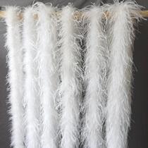 Multilayer encryption plus coarse ostrich feathers rump wool dresses choreography dress Fashion Diy Handmade Clothing Accessories 4