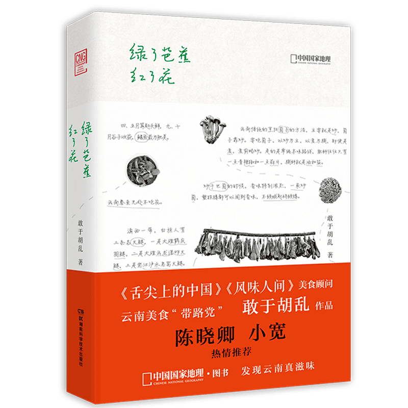 正版现货 绿了芭蕉红了花 舌尖上的中国风味人间美食顾问云南美食带路党 敢于胡乱作品 陈晓卿小宽推荐烹饪美食 中国饮食文化书 - 图0