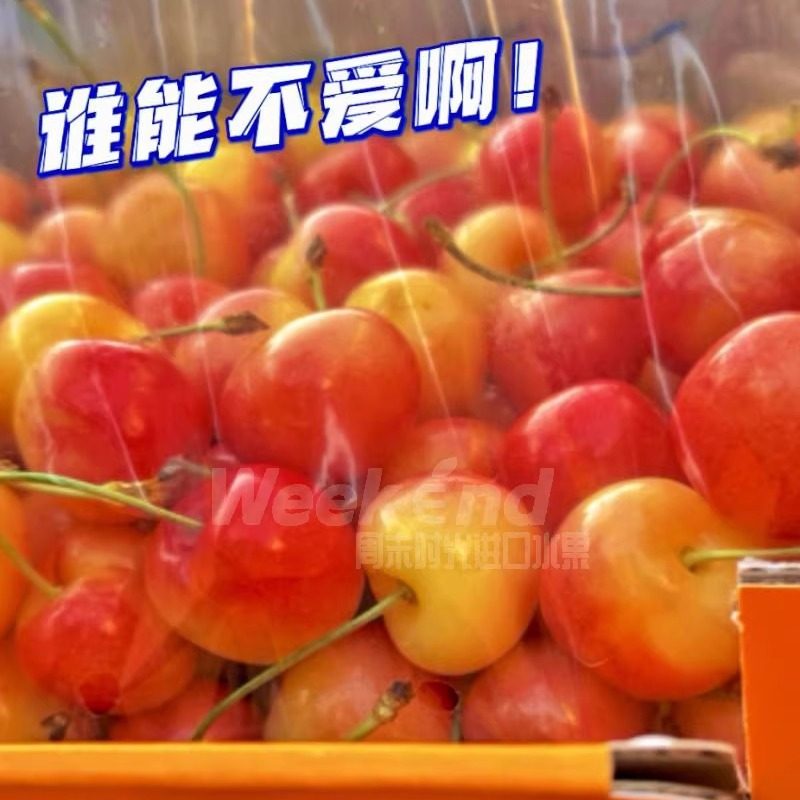 现货智利进口雷尼尔黄金车厘子新鲜水果4JJJJ黄色大樱桃2斤礼盒,淘宝优惠券,粉丝福利购,淘宝优惠卷