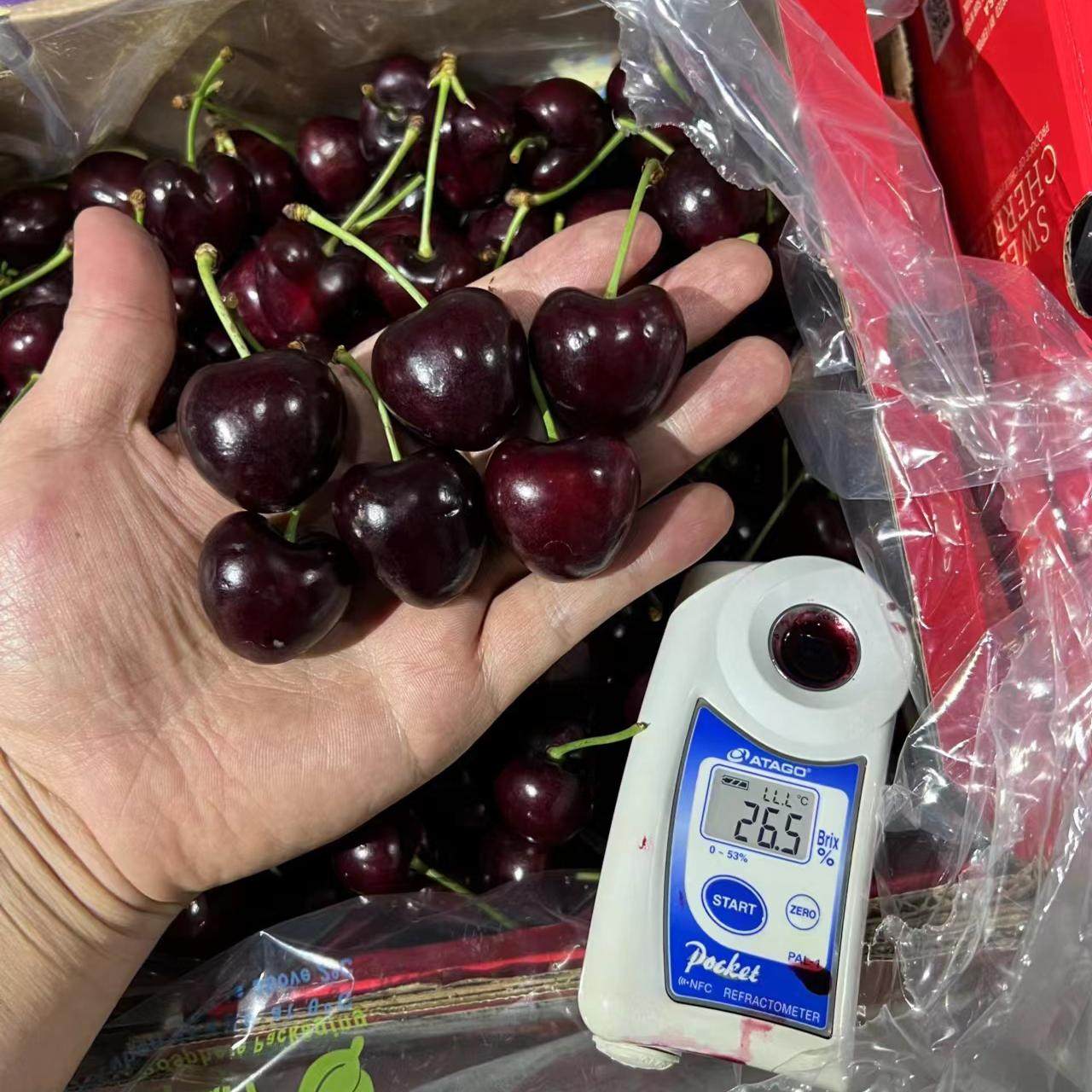 原箱吉制车厘子智利空运桑提娜3JDD整箱现货新鲜孕妇水果礼盒樱桃,淘宝优惠券,粉丝福利购,淘宝优惠卷