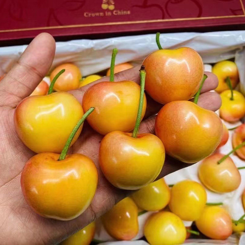 礼盒装】顺丰包邮 大连黄樱桃国产黄车厘子2斤新鲜孕妇水果车厘,淘宝优惠券,粉丝福利购,淘宝优惠卷