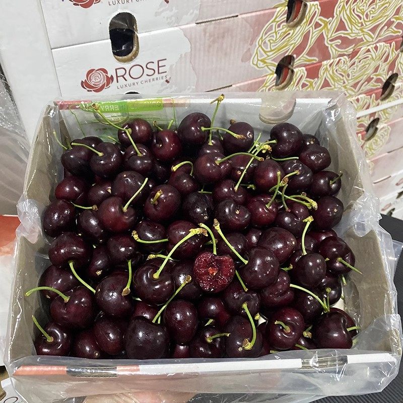 智利ROSE/白玫瑰桑缇娜车厘子4J大果新鲜樱桃孕妇水果,淘宝优惠券,粉丝福利购,淘宝优惠卷