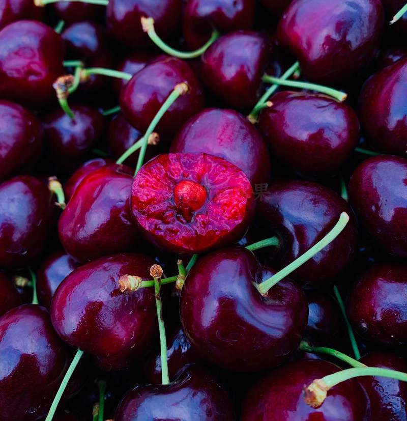 智利金都乐车厘子Santina进口樱桃新鲜水果5斤同城礼盒装顺丰,淘宝优惠券,粉丝福利购,淘宝优惠卷