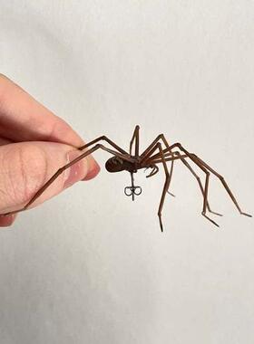 GiantSpiderEgs跨境独