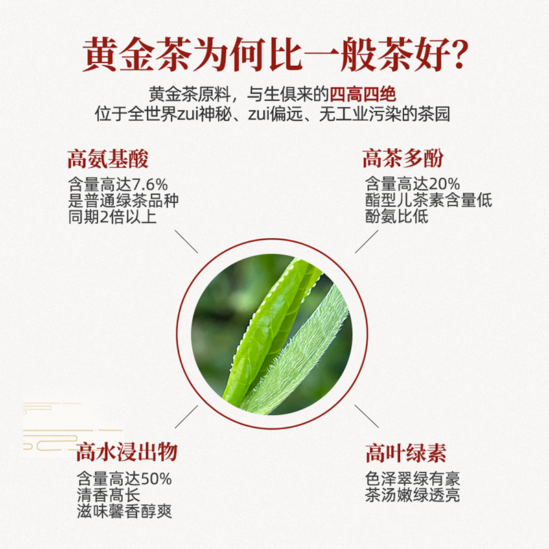 明前特级2023年头采新茶十八洞黄金茶湘西绿茶高山云雾茶叶盒装