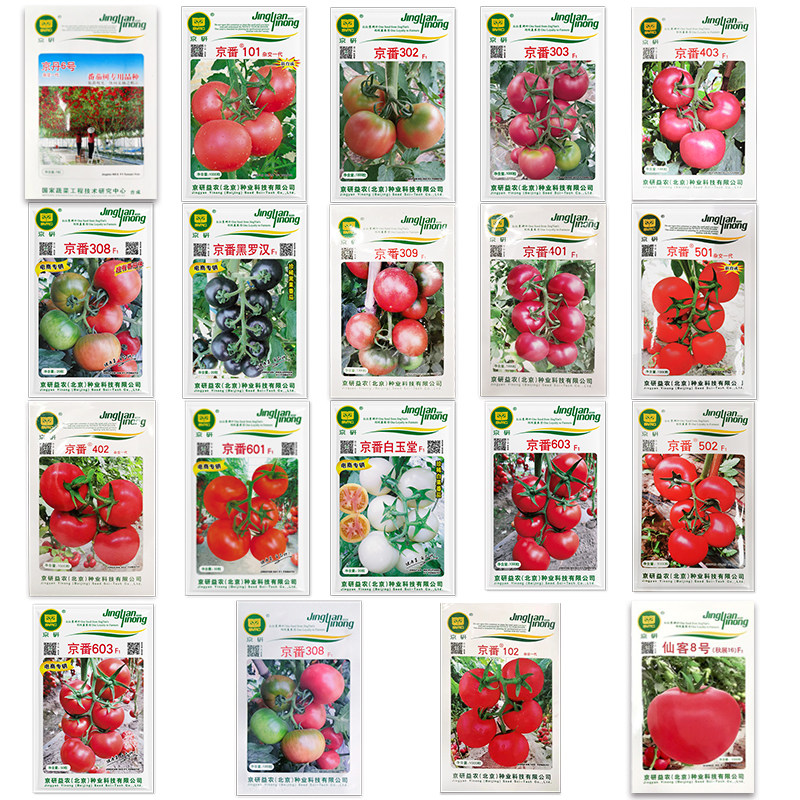 农科院番茄种子草莓水果原味西红柿千禧釜山沙瓤普罗旺斯蔬菜籽孑,淘宝优惠券,粉丝福利购,淘宝优惠卷