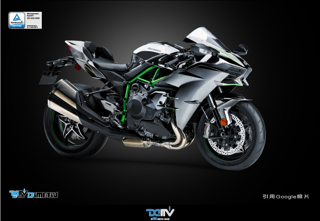 德国 DIMOTIV KAWASAKI川崎 NINJA H2后链条饰盖护盖挡泥板 DMV-图1