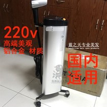 Eastern Asia Minor Blue Light Nano Spray Machine Beauty Hair Store Steam Oiled Oil Caviar Negative Ion Scalp Physiotherapy Machine