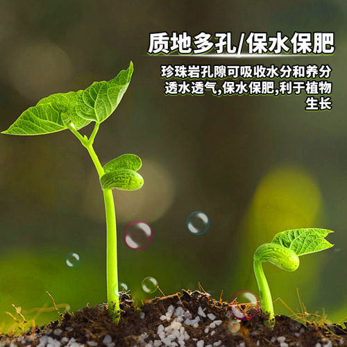 珍珠岩除尘大颗粒养花通用营养土多肉兰种植育苗膨胀保温硬质植料 - 图2