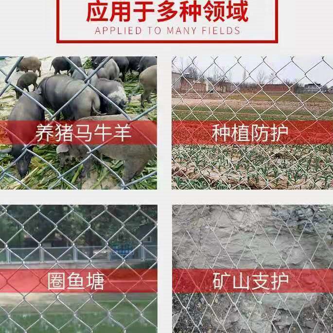 镀锌铁丝网勾花网钢丝网养殖羊牛猪栏网果园围栏栅栏网鱼塘防护网_虎窝淘