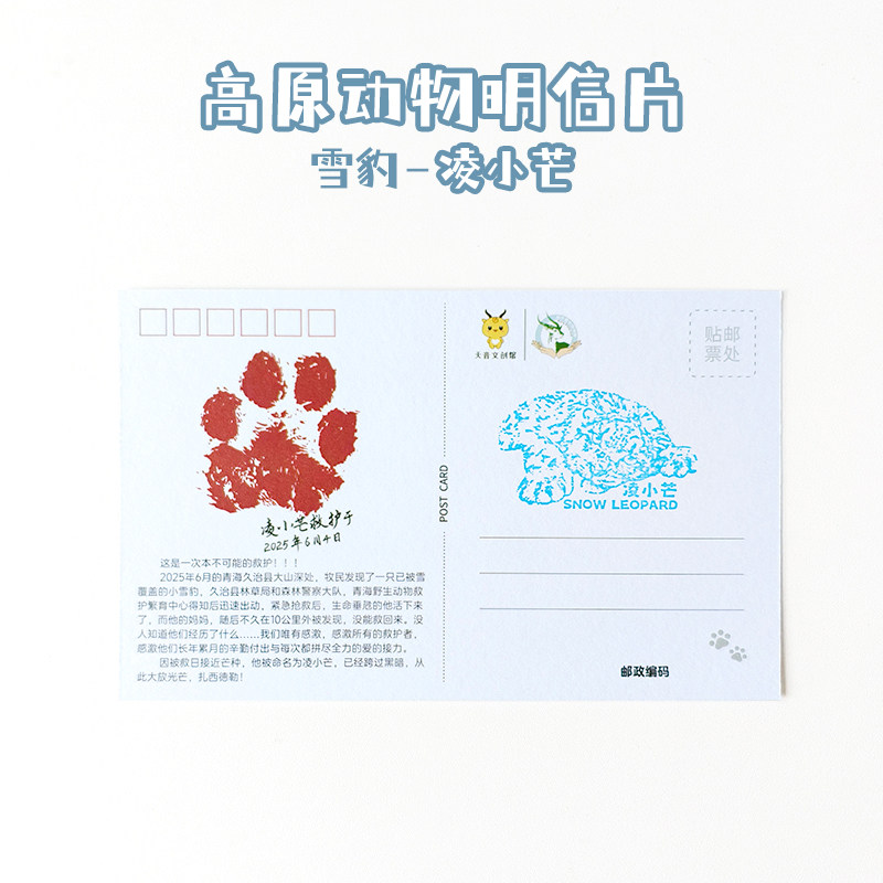凌小芒雪豹高原动物园明信片西宁野生动物园生态文创,淘宝优惠券,粉丝福利购,淘宝优惠卷