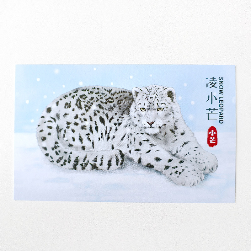 凌小芒雪豹高原动物园明信片西宁野生动物园生态文创,淘宝优惠券,粉丝福利购,淘宝优惠卷