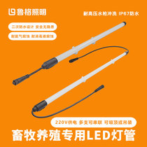 Luge T8 waterproof led lighting tube 1 2m18W Pig Sheep Rabbit Livestock Farm House for special lighting lamps