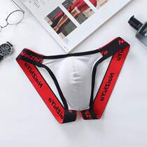 New Physiological Biding Briefs Hip men reveal mens style Spice Pants Open Crotch