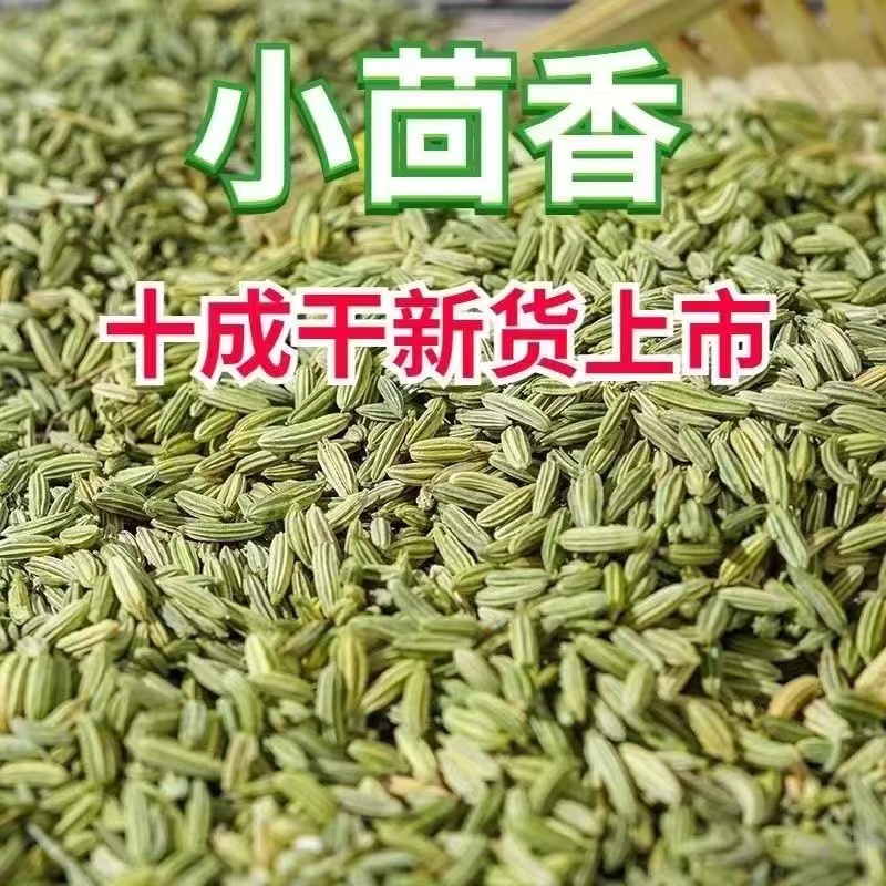 甘肃小茴香茴香籽包邮香料家用散装做菜调料干货无硫小茴香 - 图1