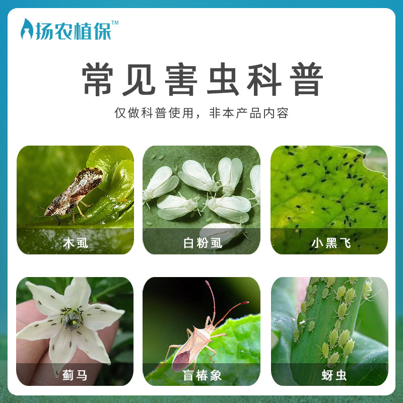 国光毙克10%吡虫啉杀虫剂水稻比虫林农药比虫啉除虫剂杀虫药正品