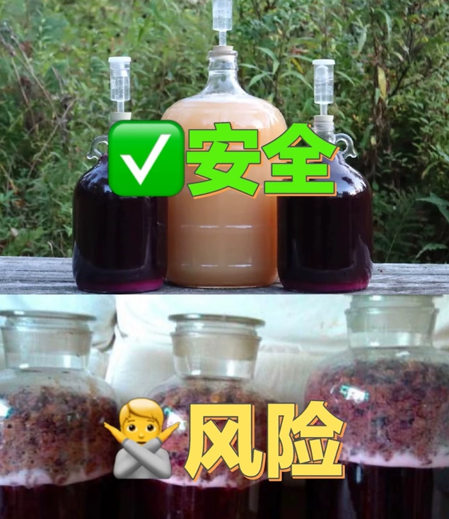 密封玻璃瓶酿桑葚桂花酒排气阀三片式水封单向阀水果酵素腌菜出口,淘宝优惠券,粉丝福利购,淘宝优惠卷