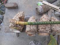 Nanzhu Roots Wool Bamboo Root Nan Bamboo Material Engraving Gold Toad Bamboo Root Material Bamboo Root Carved Raw Material Bamboo Root Material Full Nail