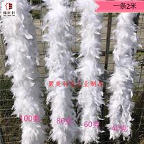 Turkey firepiece strips DIY handmade creative acting out of dress wedding dress Wedding Dress Trailing white fluff long feathers 2 m