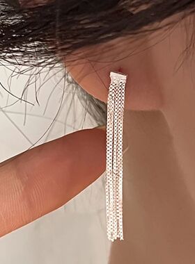 Simple Version S925 Silver Dense Snake Bone Tassel Drop