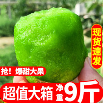 Shaanxi Week to Green Heart Kiwifruit Fresh 10 Big fruits When the whole box of fruit catty pregnant women make kiwifruit