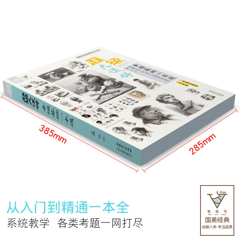 超级大课件1000例素描基础一本通几何体石膏像人物头像美术书绘画照片对画临摹范本肖像静物半身像基础入门敲门砖超级超群定制演绎