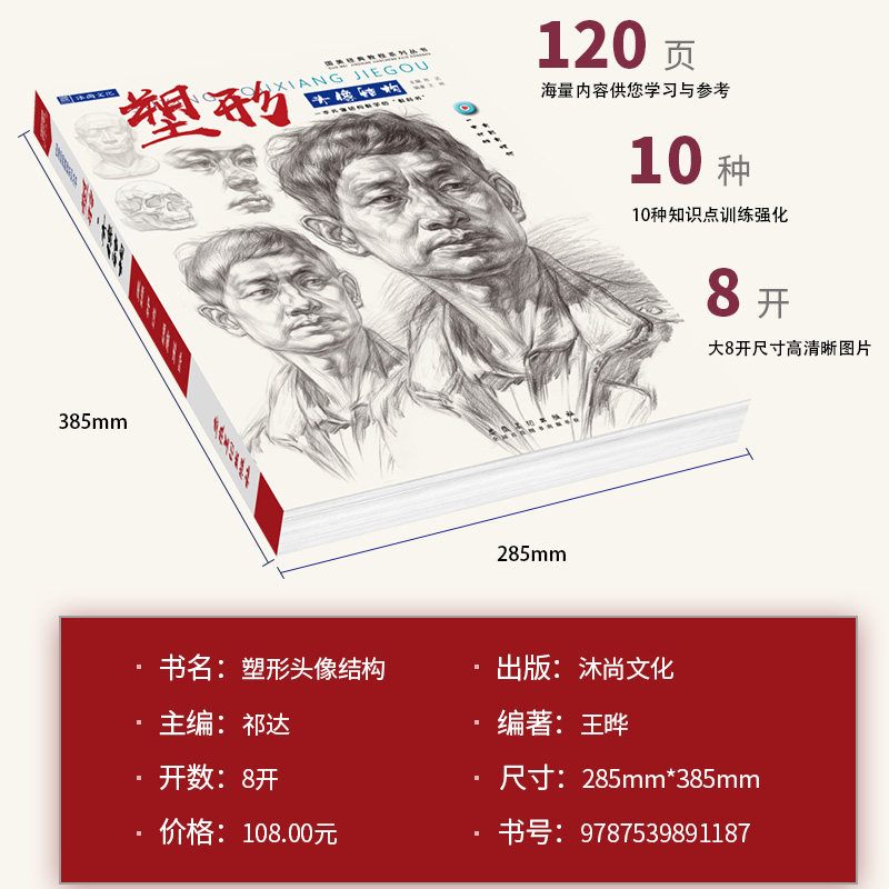 塑形头像结构 素描人物肖像头部五官结构大关系解析基础入门照片对画临摹范本步骤技法高校联考美术绘画册教程学材书籍国美院