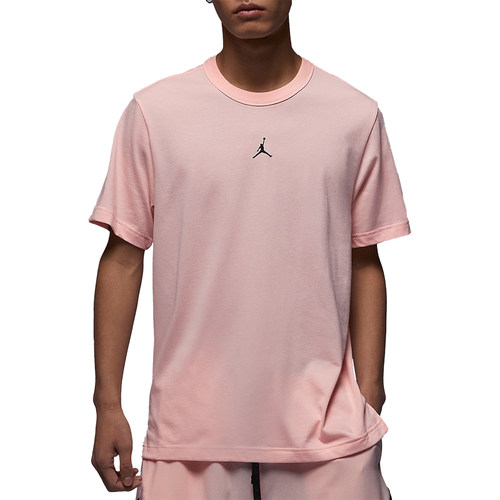 Nike/耐克正品Jordan Dri-FIT Sport男士透气短袖FN5830-622 - 图3