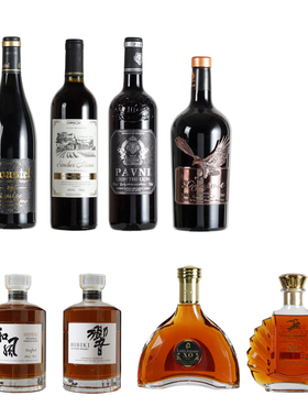 样板间酒店酒柜洋酒威士忌假酒瓶道具摆件伏特加XO红酒摄影道具瓶