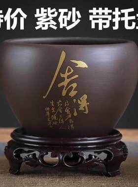 紫砂兰花盆2022新款高档花瓶陶瓷种花盆绿萝专用适合种长寿花的