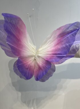 大型仿真蝴蝶超大立体橱窗装饰