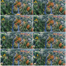 Woods Forest Autumn Imaginin Anglo Car Highway No Man Area motorway flyby video material