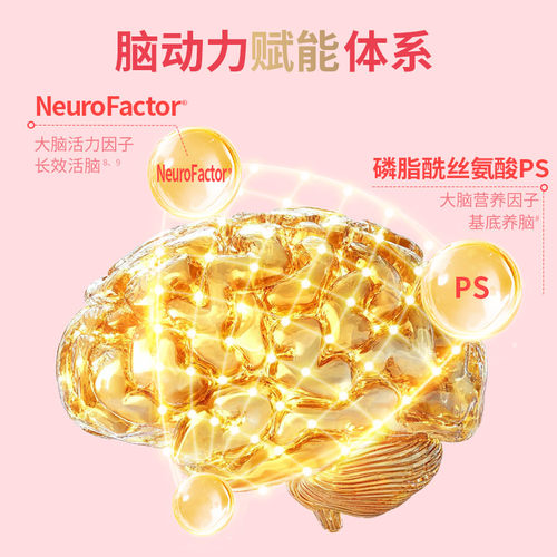neuriva脑动力纽睿华学生考研辅助记忆力注意力专注神经酸ps*3瓶 - 图0