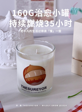 TheSureyor野番茄香薰蜡烛礼盒