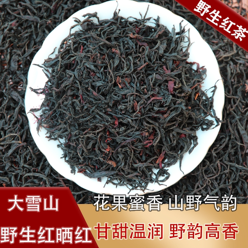 云南滇红茶临沧大雪山野生古树晒红浓香型花果香气蜜香饱满罐装 - 图0