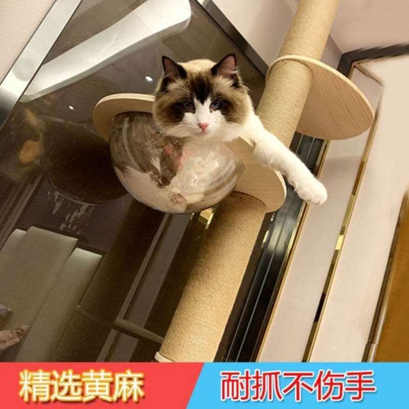 猫爬架通天柱猫树顶天立地猫窝实木多层猫塔大型猫台猫咪玩具-图1