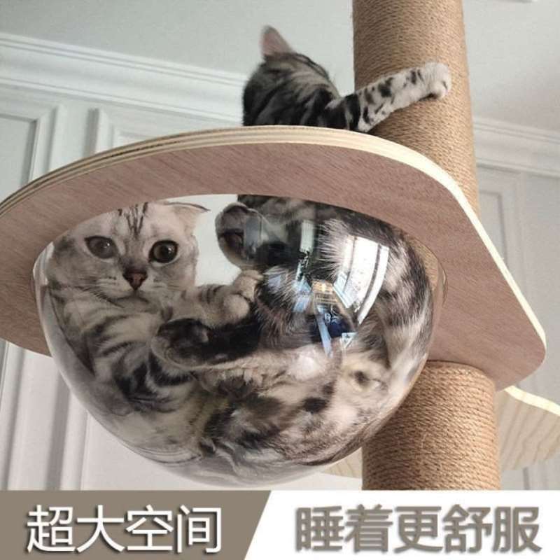 猫爬架通天柱猫树顶天立地猫窝实木多层猫塔大型猫台猫咪玩具-图2