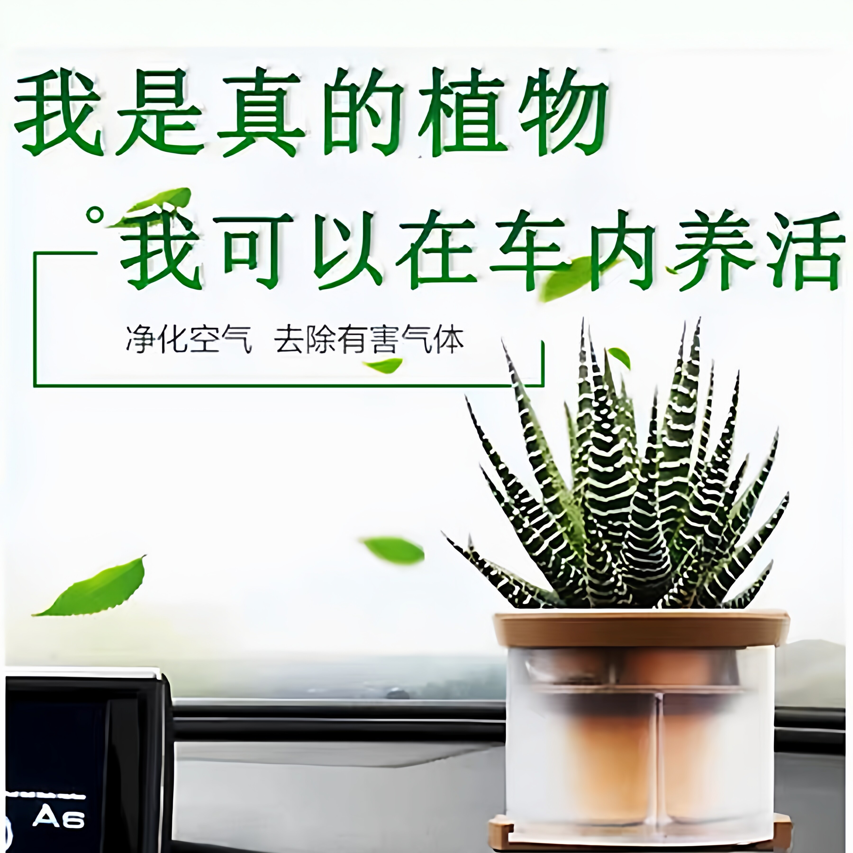 汽车绿植养花器车内空气净化器吸甲醛植物摆件车载氧吧车栽真花