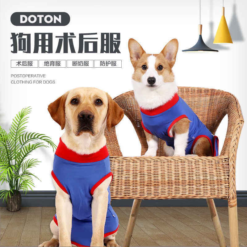 狗狗术后服 新人首单立减十元 22年8月 淘宝海外