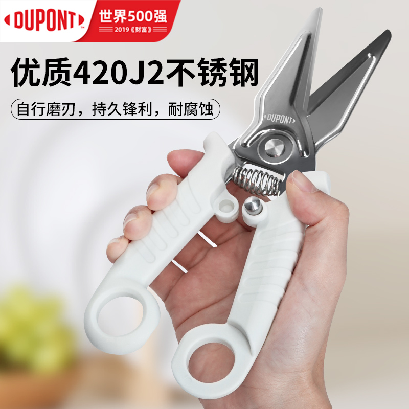杜邦厨房剪刀家用多功能剪子杀鱼剪骨头不锈钢锋利烤肉食物专用剪