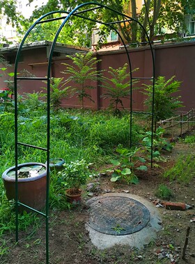 铁艺拱门花架爬藤架花园阳台植物支架铁线莲户外庭院月季葡萄蔷薇