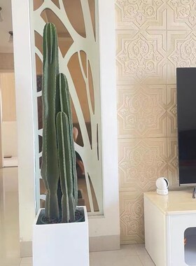 量天尺仙人柱植物大型盆栽多肉绿植室内客厅办公室好养活仙人掌